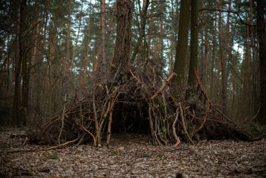 A handmade debris-hut survival shelter built from branches and leaves in a dense forest