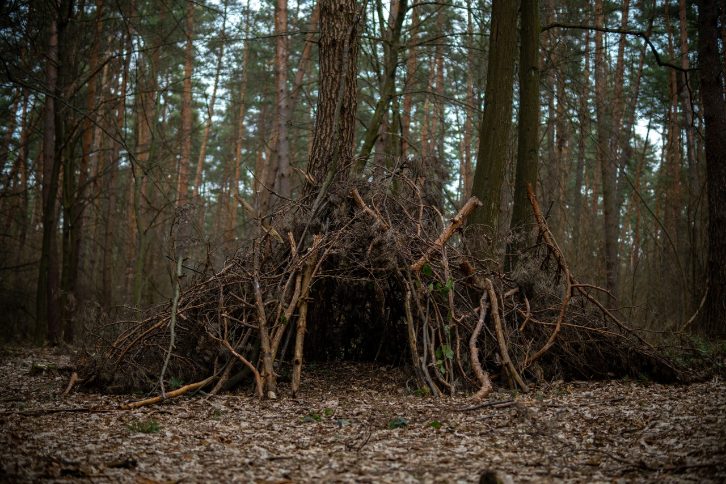 How to Build a Shelter for Survival